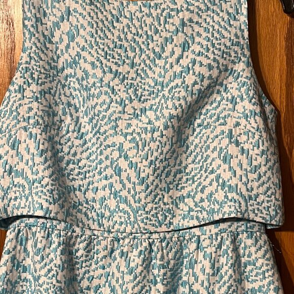 The Limited Dress - Picture 3 of 4